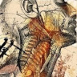 Meet your Posher, Ea